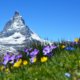 7 Lokasi Yang Harus Kamu Kunjungi Saat Wisata Swiss