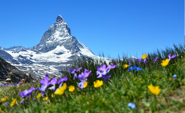 7 Lokasi Yang Harus Kamu Kunjungi Saat Wisata Swiss