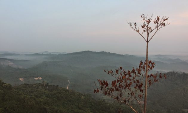 Ibu Kota Baru Indonesia Memiliki 7 Lokasi Wisata Kutai Kartanegara Yang Wajib Kamu Kunjungi 3