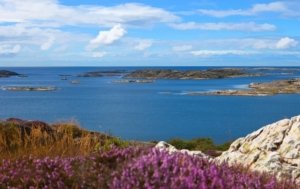 7 Tempat Wisata Swedia Terbaik Dan Populer Yang Bisa Kamu Kunjungi 7
