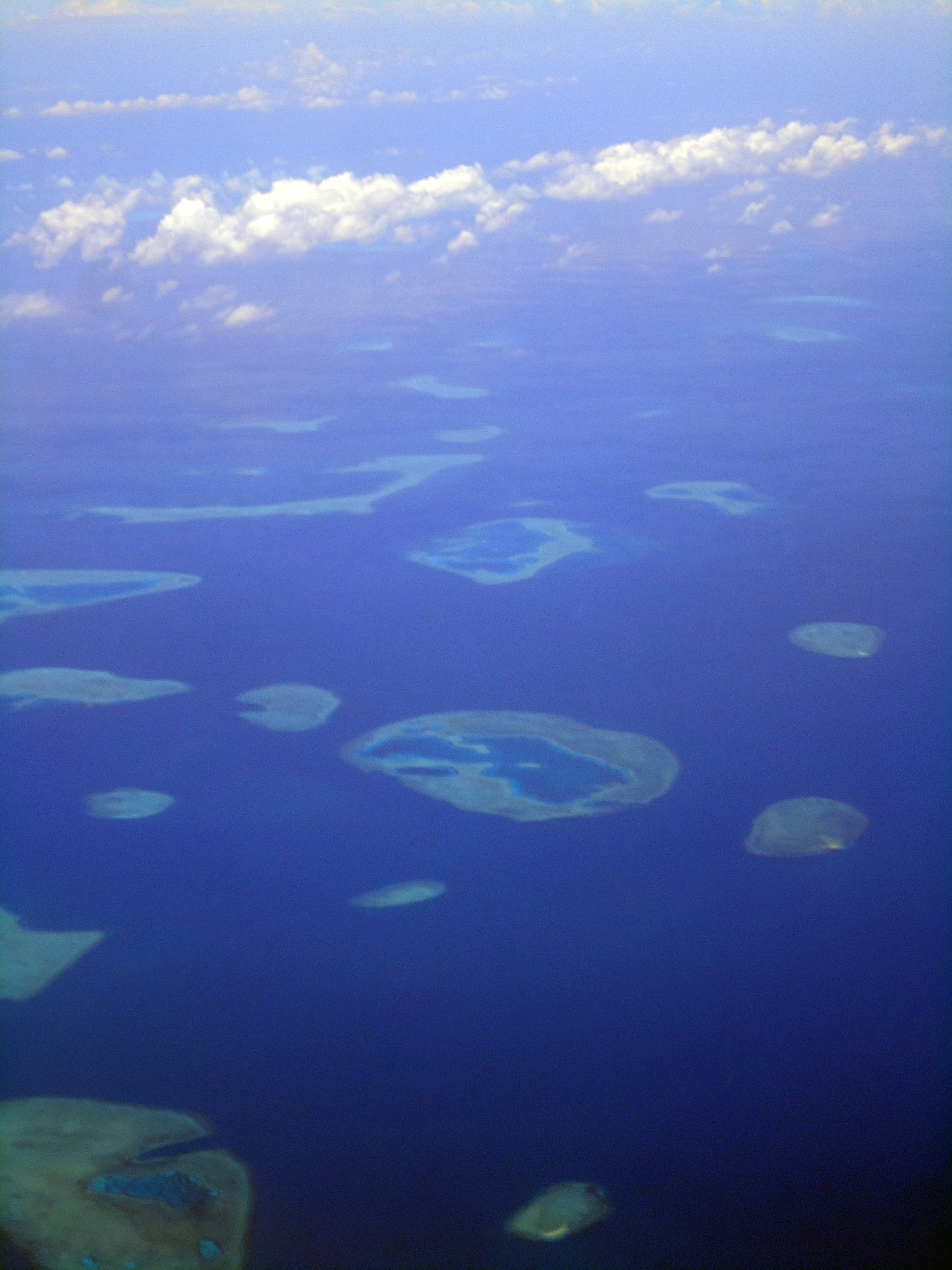 Kabar Kurang Baik Dari Ekosistem Bawah Laut Makassar