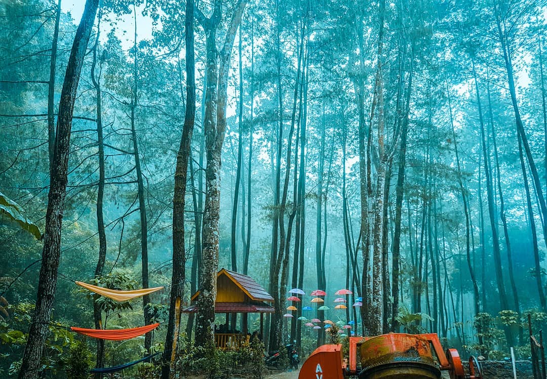 travel bandung ngawi