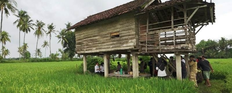 Spot Instagramable Yang Keren Di Sawah Mangaran Banyuwangi