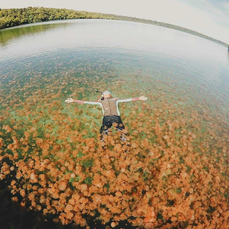 5 Lokasi Wisata Bahari Berau Yang Indah Dan Mempesona Wajib Sekali Kamu Kunjungi 4