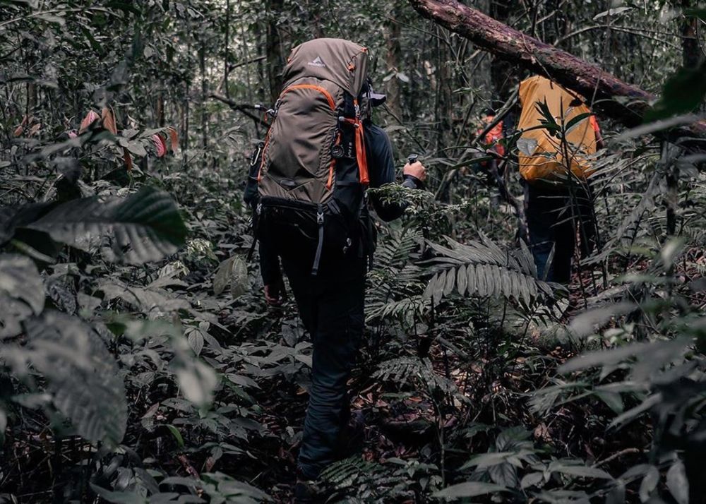 6 Kegiatan Seru Yang Bisa Kamu Lakukan Di Wisata Pulau Sempu Malang 5