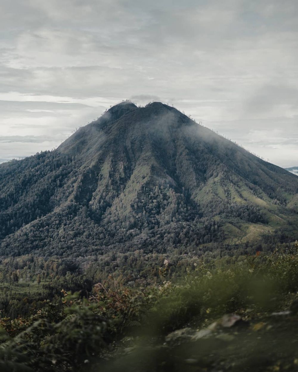 7 Tempat Wisata Horor Bondowoso Yang Menawan Dan Penuh Cerita Mistis 5