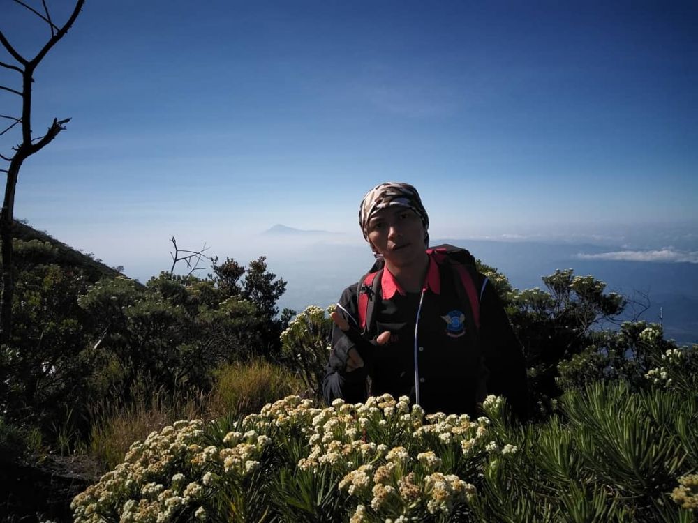 Berburu Bunga Edelweiss Di 5 Gunung Indonesia Terpopuler Ini 2