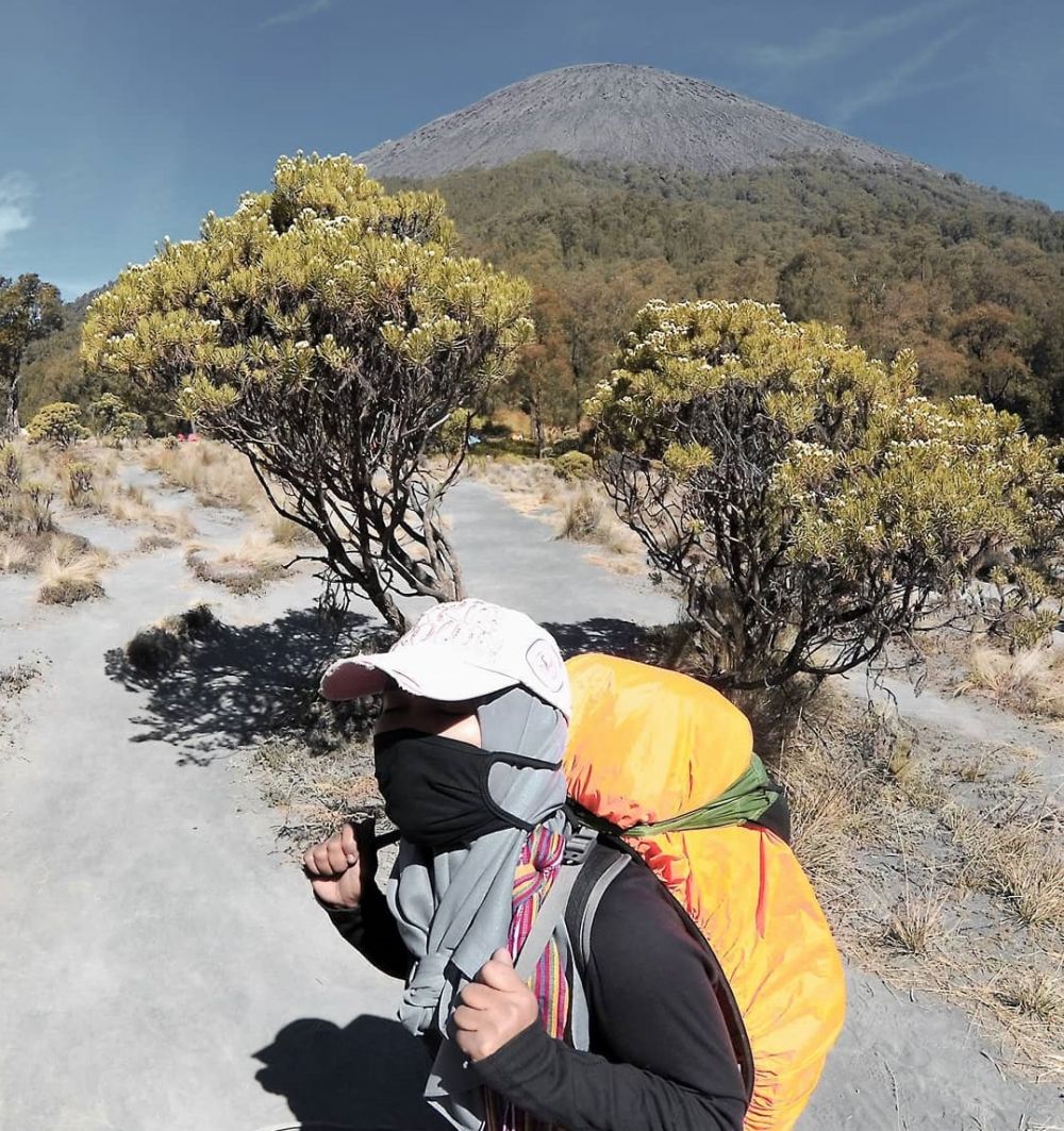 Berburu Bunga Edelweiss Di 5 Gunung Indonesia Terpopuler Ini 4