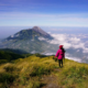 Taman Nasional Gunung Merbabu Tutup 3 Tempat Wisata