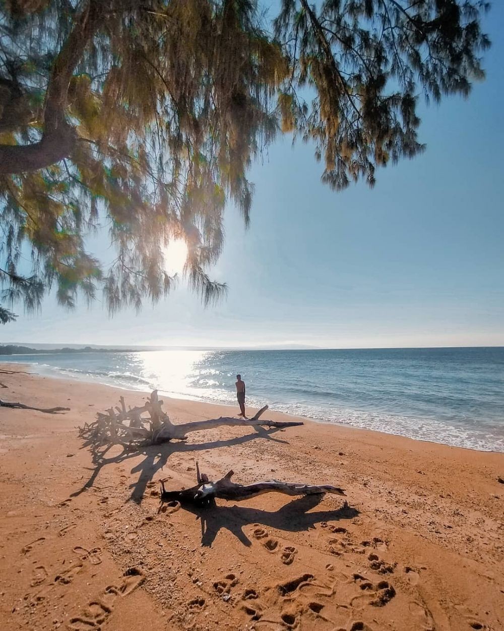 10 Lokasi Wisata Sumba Yang Memiliki Sensasi Liburan Di Hawaii