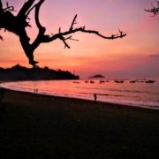 5 Aktivitas Seru Pantai Tamban Malang Yang Bisa Kamu Lakukan Bersama Keluarga