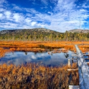 5 Taman Nasional Finlandia Yang Memukau Dan Mempesona