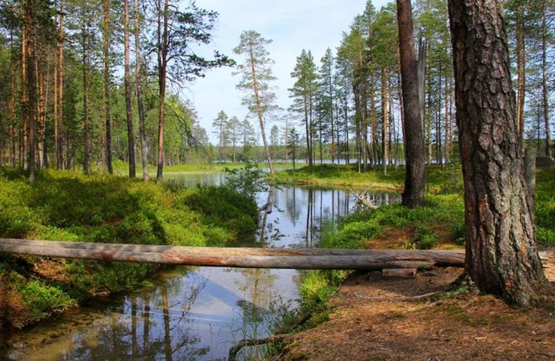 5 Taman Nasional Finlandia Yang Memukau Dan Mempesona 3