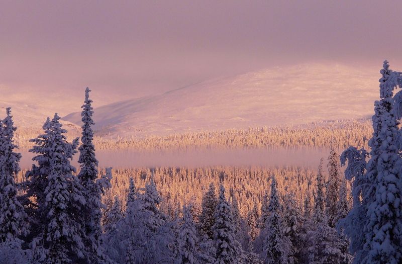 5 Taman Nasional Finlandia Yang Memukau Dan Mempesona 5