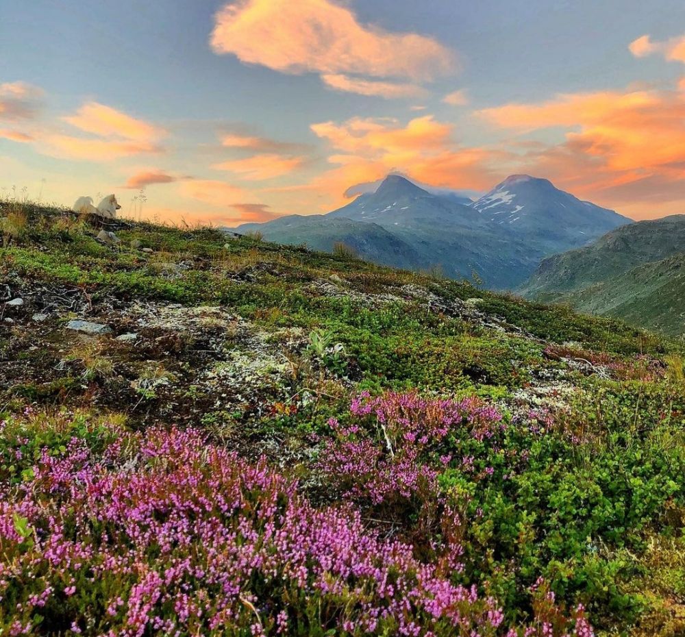 5 Taman Nasional Norwegia Yang Memiliki Keindahan Mempesona Ini Membuat Kamu Tidak Ingin Pulang 2