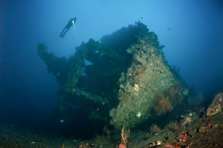 Kamu Hobi Diving Kunjungi 6 Lokasi Wisata Diving Terbaik Di Dunia, Indonesia Ada Loh!