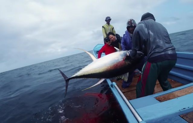 Kamu Hobi Memancing Kunjungi 10 Destinasi Hobi Memancing Antimainstrea Di Laut Indonesia 3