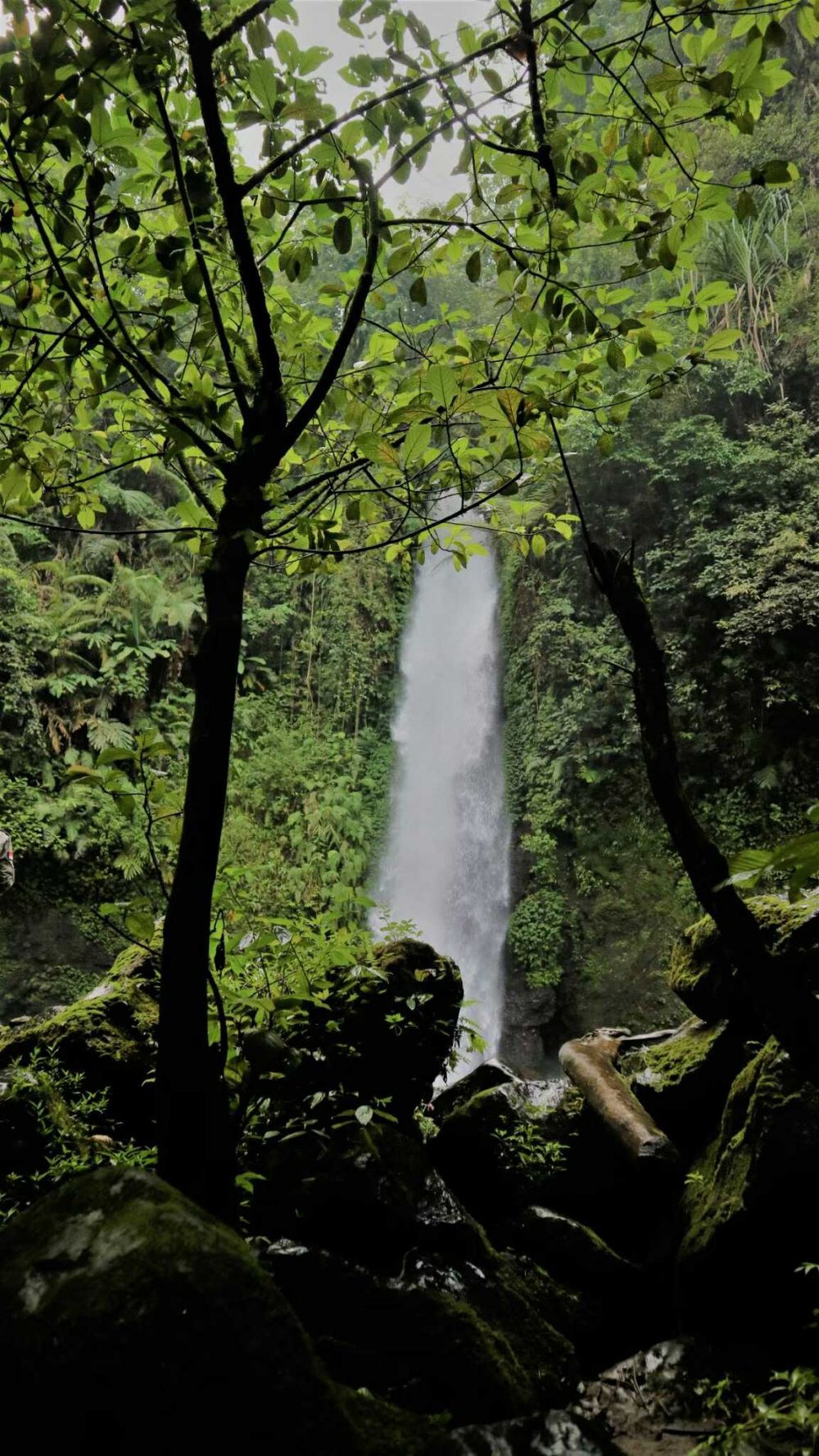 Liburan Ke Sukabumi Menikmati Pesona Wisata Alam Dari 7 Keindahan Situ Gunung 6