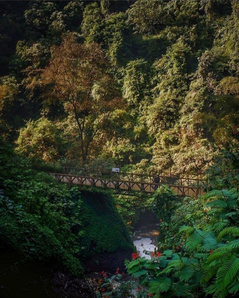 5 Destinasi Wisata Alam Bandung Yang Cantik Menjadi Surganya Para Petualang Sejati