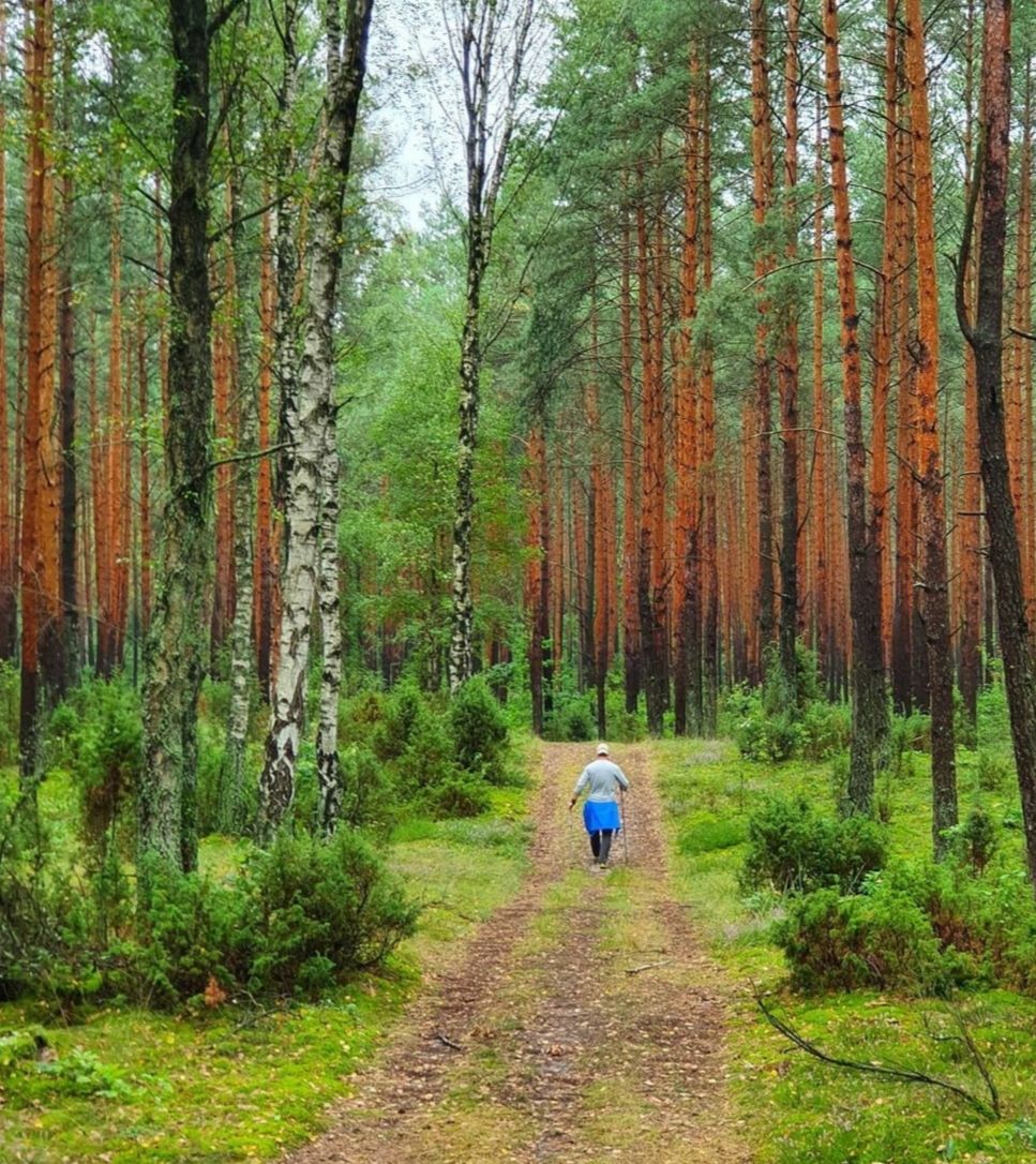 5 Wisata Taman Nasional Terbaik dan Terpopuler di Polandia Yang Dapat Kamu Kunjungi 2