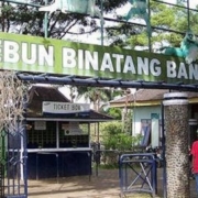 Kebun Binatang Bandung Alami Kerugian Rp 1,5 Miliar Hanya Dalam 10 Hari