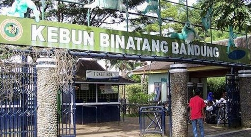 Kebun Binatang Bandung Alami Kerugian Rp 1,5 Miliar Hanya Dalam 10 Hari