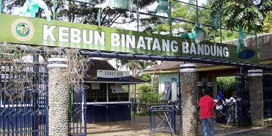 Kebun Binatang Bandung Alami Kerugian Rp 1,5 Miliar Hanya Dalam 10 Hari