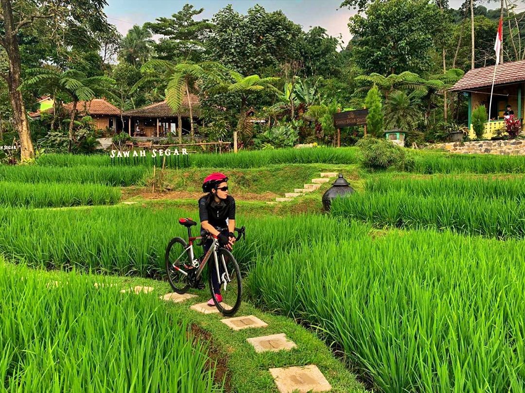 Sawah Segar Sentul Tawarkan Hidangan Lezat Bersama Pemandangan Tiada Duanya 2