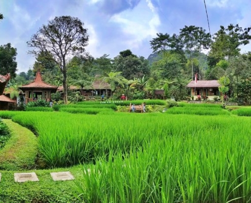 Sawah Segar Sentul Tawarkan Hidangan Lezat Bersama Pemandangan Tiada Duanya