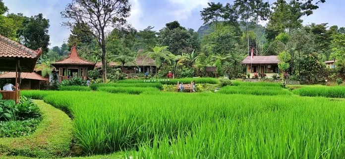 Sawah Segar Sentul Tawarkan Hidangan Lezat Bersama Pemandangan Tiada Duanya