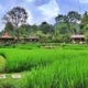 Sawah Segar Sentul Tawarkan Hidangan Lezat Bersama Pemandangan Tiada Duanya