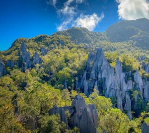 5 Destinasi Wisata Malaysia Yang Masuk Kedalam Situs Warisan Dunia UNESCO 5