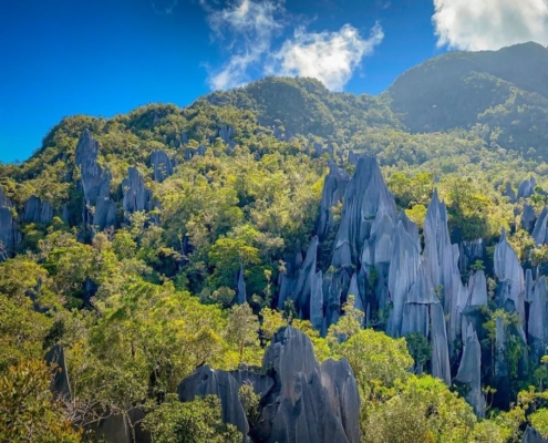 5 Destinasi Wisata Malaysia Yang Masuk Kedalam Situs Warisan Dunia UNESCO 5