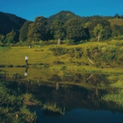 5 Spot Foto Keren Yang Ada Di Destinasi Wisata Garut Buffalo Hill