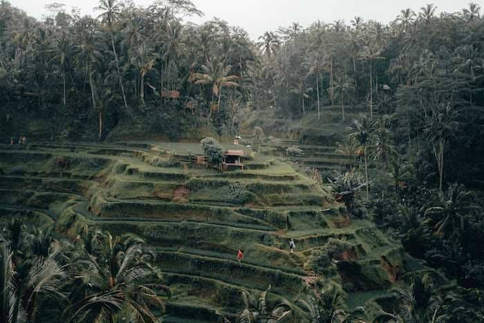 5 Destinasi Wisata Tahun Baru Bali Dijamin Meriah Dengan Berbagai Acara 2