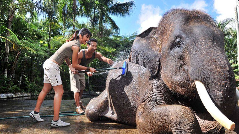 5 Rekomendasi Destinasi Wisata Bali Yang Mirip Afrika, Sensasi Seru Seperti di Savana 3