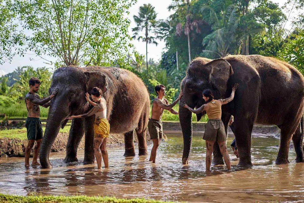 5 Rekomendasi Destinasi Wisata Bali Yang Mirip Afrika, Sensasi Seru Seperti di Savana 5