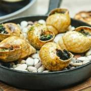 6 Tempat Makan Escargot Jakarta yang Wajib Dicoba Dengan Citarasa Luar Biasa 6