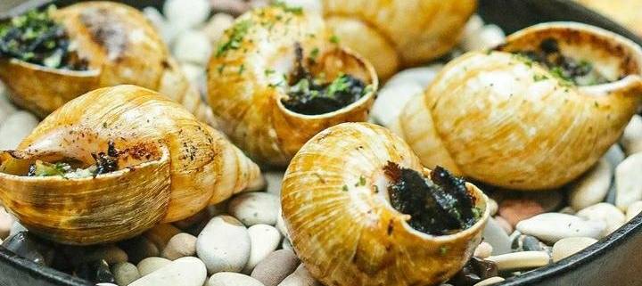 6 Tempat Makan Escargot Jakarta yang Wajib Dicoba Dengan Citarasa Luar Biasa 6