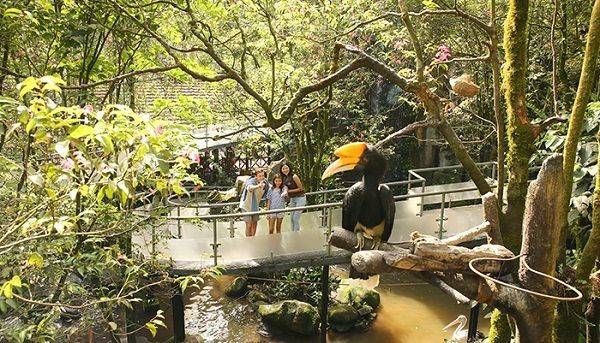 7 Wahana Unik Taman Safari Bogor yang Bikin Wisata Makin Berkesan 4