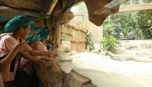 7 Wahana Unik Taman Safari Bogor yang Bikin Wisata Makin Berkesan 5