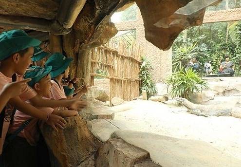 7 Wahana Unik Taman Safari Bogor yang Bikin Wisata Makin Berkesan 5