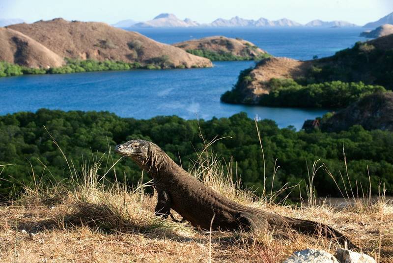 Rasakan Pengalaman Wisata Sejarah dengan Mengunjungi 5 Destinasi Wisata Tertua Indonesia 2