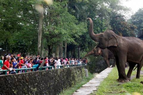 Rasakan Pengalaman Wisata Sejarah dengan Mengunjungi 5 Destinasi Wisata Tertua Indonesia 3