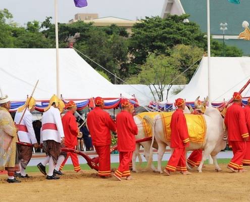 5 Festival Tradisional Kamboja Paling Populer, Yuk Mengenal Keunikan dan Kemeriahan Acaranya