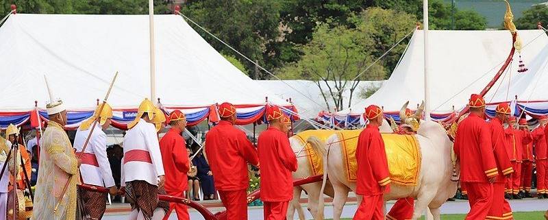 5 Festival Tradisional Kamboja Paling Populer, Yuk Mengenal Keunikan dan Kemeriahan Acaranya