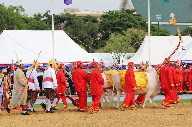 5 Festival Tradisional Kamboja Paling Populer, Yuk Mengenal Keunikan dan Kemeriahan Acaranya