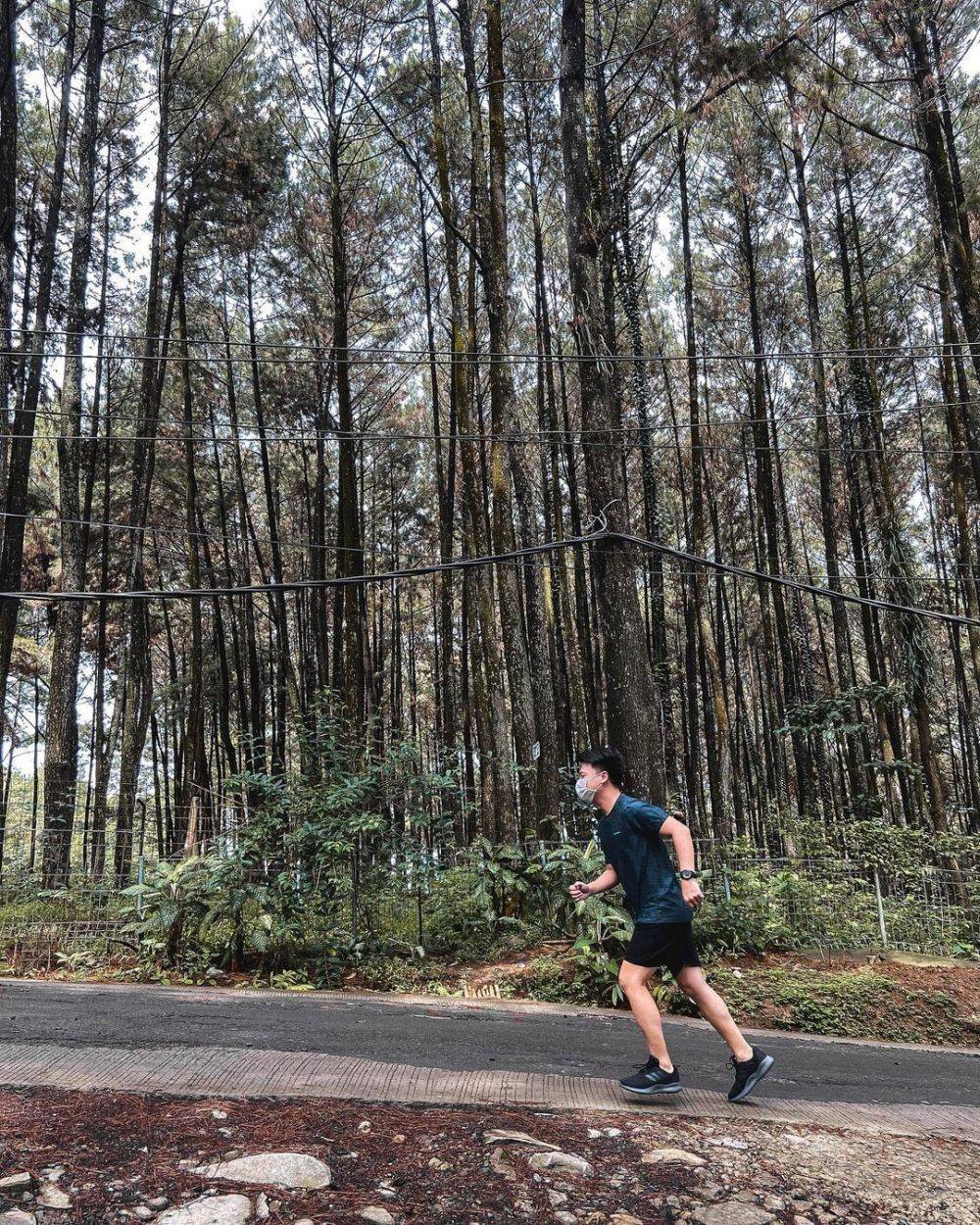 5 Destinasi Trekking Bogor Terbaik Dekat Jakarta Cocok Untuk Menikmati Alam Yang Menakjubkan 4