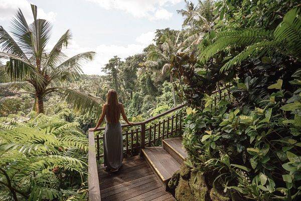 7 Hotel Indonesia Tersembunyi yang Terletak di Tengah Hutan, Cocok untuk Meresapi Alam dan Menenangkan Jiwa 7