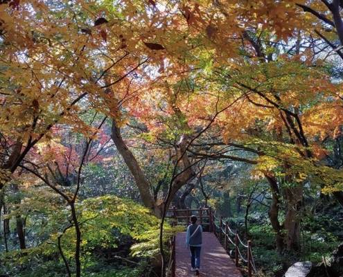 10 Tempat Wisata Tersembunyi Korea Selatan yang Disediakan oleh Korea Tourism Organization